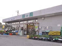 山武緑の風 成東店